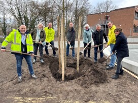 BU: Bürgermeister Thomas Beckmann, Anke Thomsen (Bündnis 90/Die Grünen), Olaf Hildebrand (BUND), Gerhard Teepe (SPD), Annegret Tegen (CDU), Horst Ziri (SPD), Marco Reich (FDP) und Sharon Naumann (Planungsbüro Naumann Landschaft) pflanzen den ersten Spendenbaum im Rathauspark