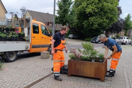 Bürgerinfo 148 Bepflanzung durch den Bauhof der Stadt Quickborn